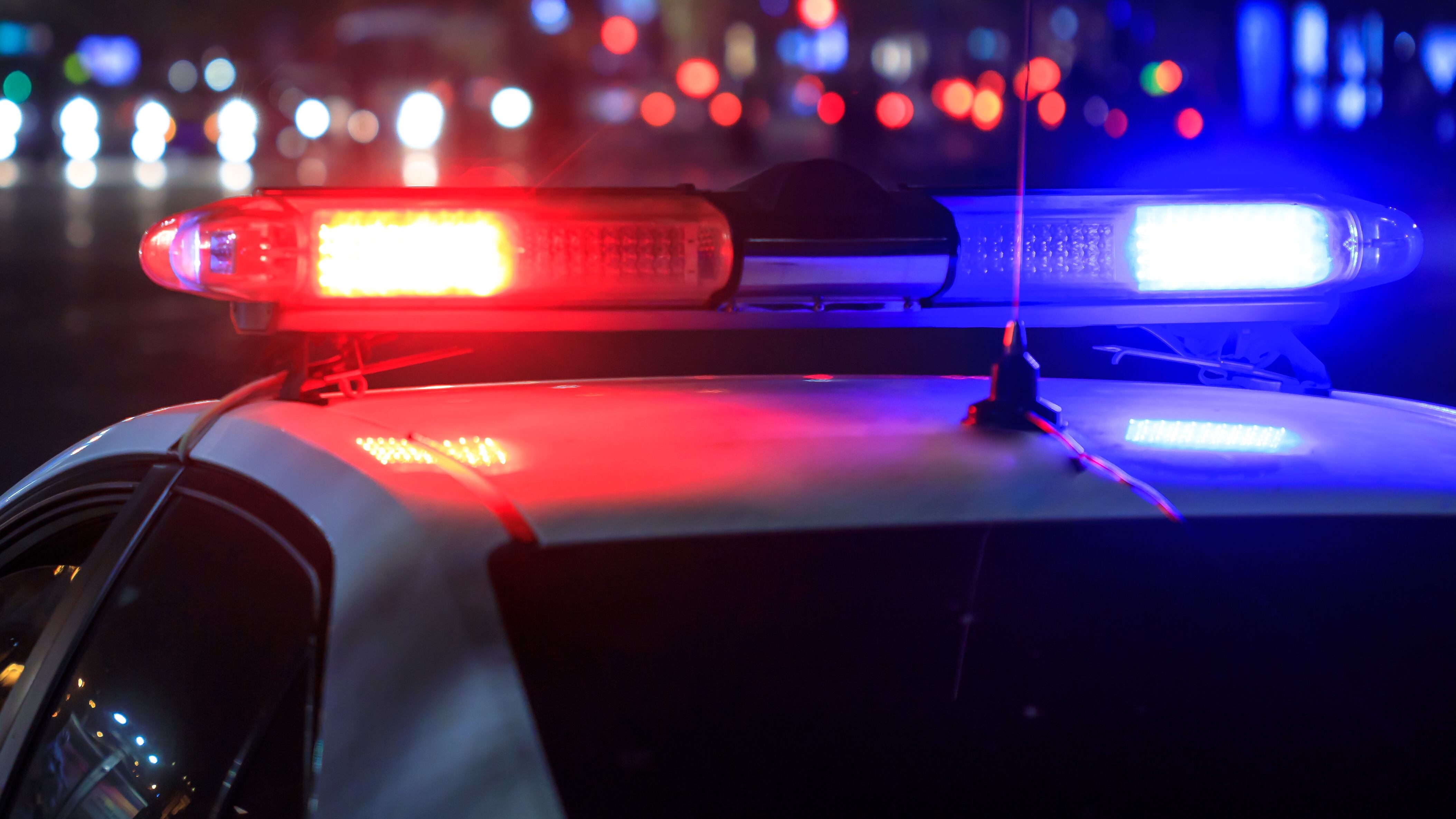 A woman is facing multiple charges after she was arrested for selling puppies found in a bag in Queens, New York on Saturday.