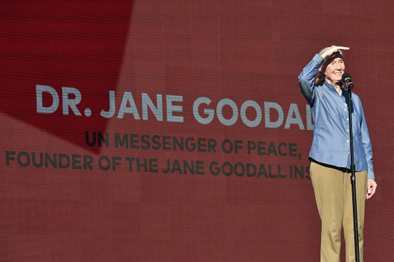 Dr. Jane Goodall